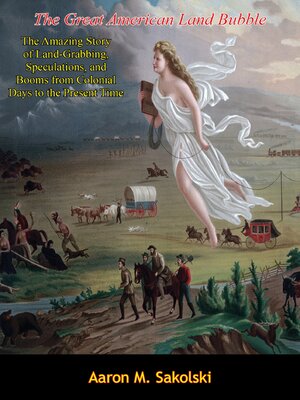 cover image of The Great American Land Bubble